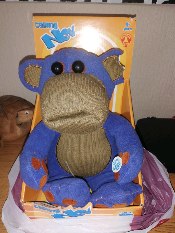 nev the bear teddy